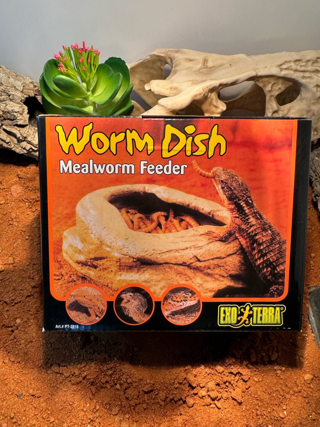 Worm dish grande