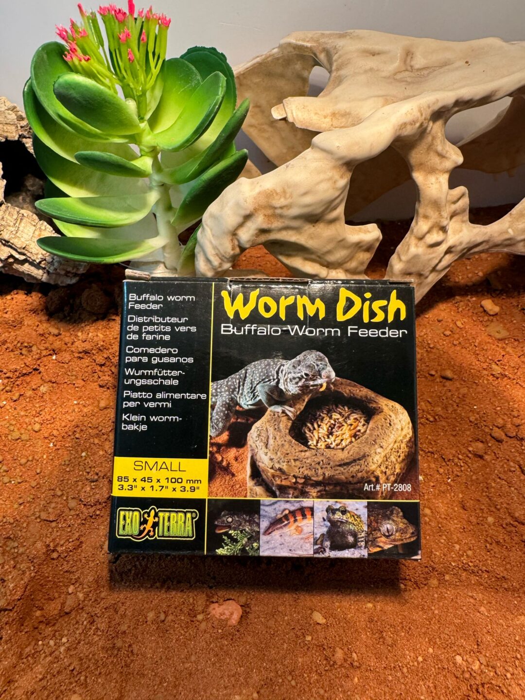 Worm dish pequeño