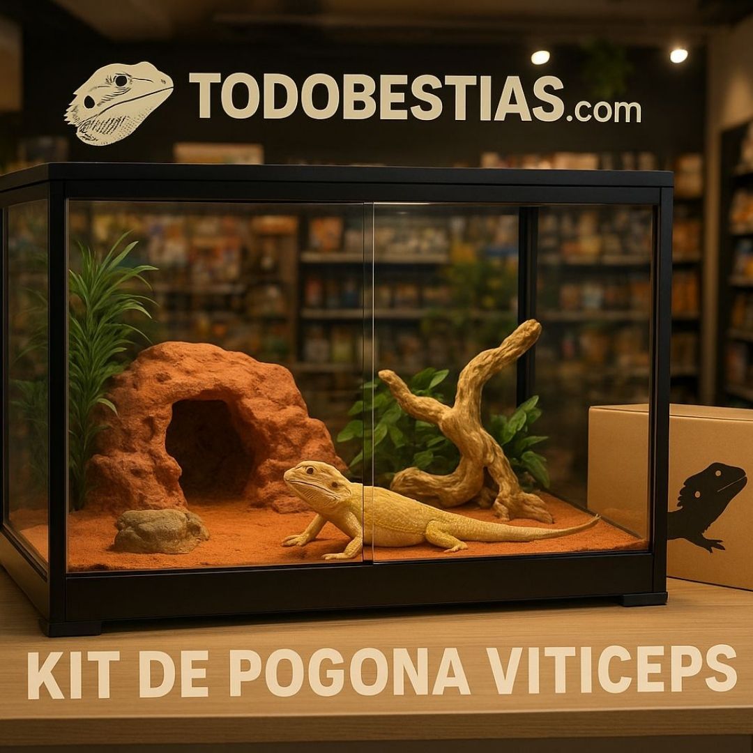 Kit Pogona Vitticeps ¡Incluido!