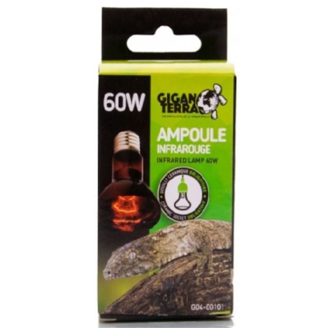 Bombilla Infrarrojos 60W