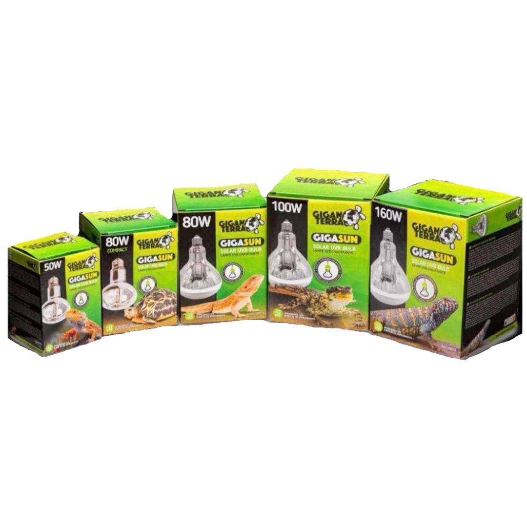 Bombilla vapor de mercurio 50w (Uvb+Uva+Calor)